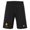 Aster Shorts Black SR